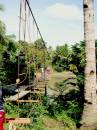 suspension_bridge_11.JPG