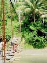 suspension_bridge_2.JPG