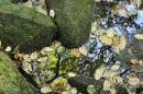 technicolor-greens-padley-g.jpg