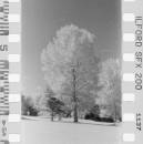 untitled-14border.jpg