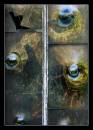 victorian_glass.JPG
