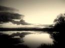 wacton_common_pond_013_Custom_.jpg