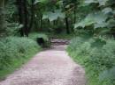 walk_path_in_Macc_forest2_smaller.jpg
