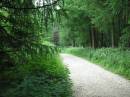 walk_path_in_Macc_forest_smaller.jpg