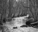 washburn_b_w_.jpg