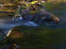 water_WPF.jpg
