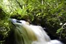 waterfall8.jpg