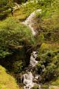 waterfall_edited-1.jpg