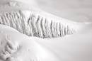waterfalls060107_7408_crw.jpg
