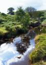 wheeldale800.jpg