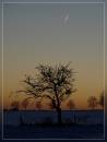 winter_afternoon1.jpg