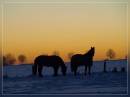 winter_afternoon2.jpg