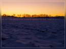 winter_afternoon3.jpg