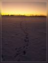winter_afternoon4.jpg