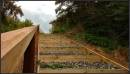 woodenhillJsmall2.jpg