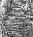 wrinkly_copy.jpg