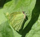 060514VA6_036.JPG