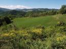 10_maggio_in_collina.jpg