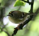 150814VA7_087.JPG