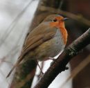 170216MM_024.JPG