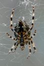 180C2713web.jpg