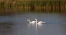 1st-Oct-058a.jpg