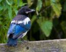 20090606-IMG_2977.jpg