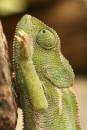 20100108_13071_winzi49_08.jpg