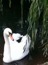 20131031_125549.jpg