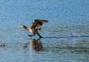 20241018-PA180265-ORF_edited-1.jpg