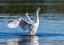 20241018-PA180780-ORF_edited-1.jpg
