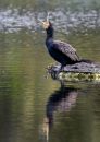 20241022-PA220013-ORF_edited-1.jpg