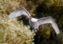 20241022-PA220065-ORF_edited-2.jpg