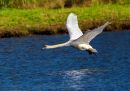 20241022-PA220377-ORF_edited-2.jpg