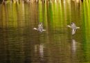 20241022-PA220712-ORF_edited-2.jpg