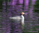 210514VA6_104.JPG