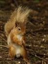6070220_edited-3.jpg