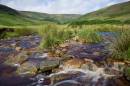 6BK0096_Laddow_Rocks_and_Crowden_Clough.jpg