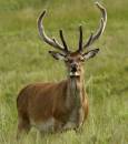 7120419_edited-2.jpg