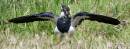 Come-fly-with-me1.jpg