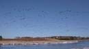 DPP_0426_1.JPG