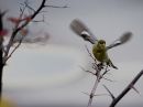 DSC000122.jpg