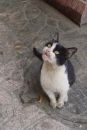 DSC00138a.jpg