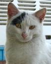 DSC00386a.jpg