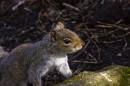 DSC01106.jpg