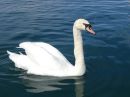 DSC01532M.jpg