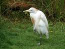 DSC01750.jpg