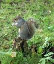 DSC02238.JPG