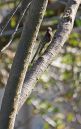 DSC02833-SS.jpg