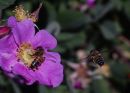 DSC0322s.jpg